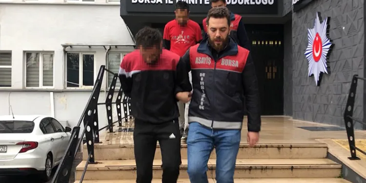 “Örümcek Adam” gibi tırmanıp hırsızlık yaptı