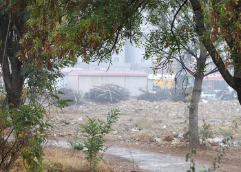 Bir yandan enkaz kaldırma çalışmaları, bir yandan ağaçların renk cümbüşü