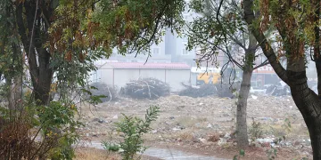 Bir yandan enkaz kaldırma çalışmaları, bir yandan ağaçların renk cümbüşü