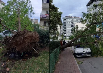 Bursa’da şiddetli rüzgar hayatı felç etti