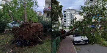 Bursa’da şiddetli rüzgar hayatı felç etti