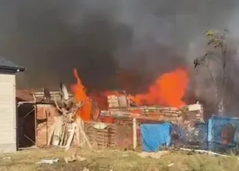 Otları yakayım derken bağ evini yaktı