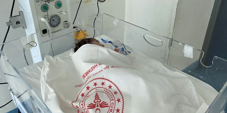 “Mesleğimizin zirve duygularını yaşıyoruz”