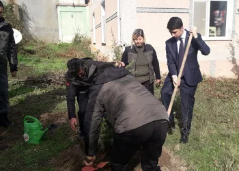 Pazaryeri’nde fidanlar toprakla buluştu