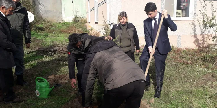 Pazaryeri’nde fidanlar toprakla buluştu