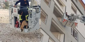 Hasarlı binada mahsur kalan köpek kurtarıldı