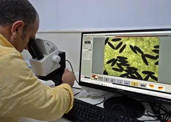 Böcek profesöründen ‘sivrisinek’ uyarısı