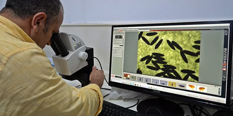Böcek profesöründen ‘sivrisinek’ uyarısı