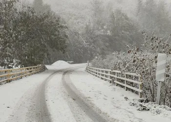 Sakarya’nın yüksek kesimleri beyaza büründü