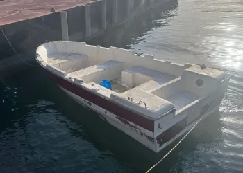 İstanbul’da 1 ton kaçak midye ele geçirildi
