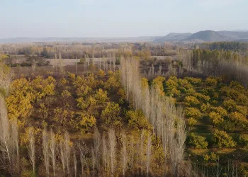 Sonbaharın son demleri göz kamaştırdı