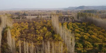 Sonbaharın son demleri göz kamaştırdı