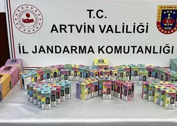 Artvin’de kaçakçılık operasyonları