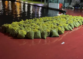 İstanbul’da 4 ton kaçak midye ele geçirildi