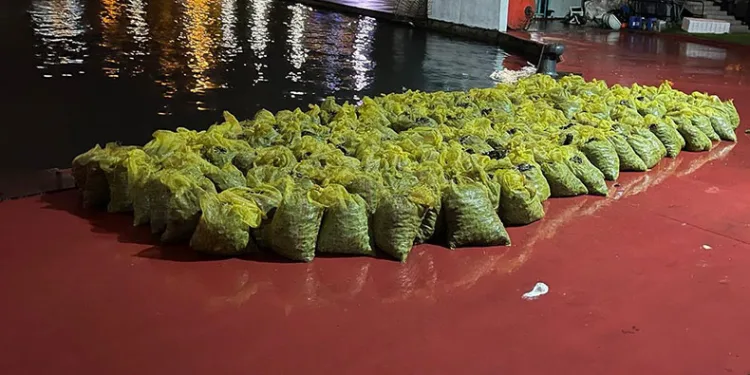 İstanbul’da 4 ton kaçak midye ele geçirildi