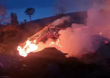 Yangından kurtuldular, sahibinden kurtulamadılar