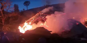 Yangından kurtuldular, sahibinden kurtulamadılar