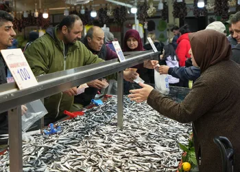 Bolu’da hamsiye rağbet sürüyor