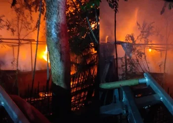 Beykoz’da marangozhanede yangın paniği