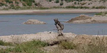 Su kıtlığına yapay zekalı önlem