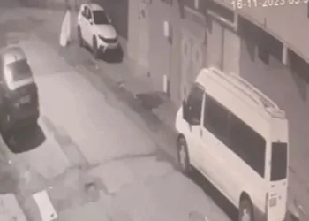 Otomobil üzerindeki brandayı çaldı