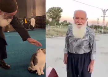 “Kediye canım kaynadı sevdim”