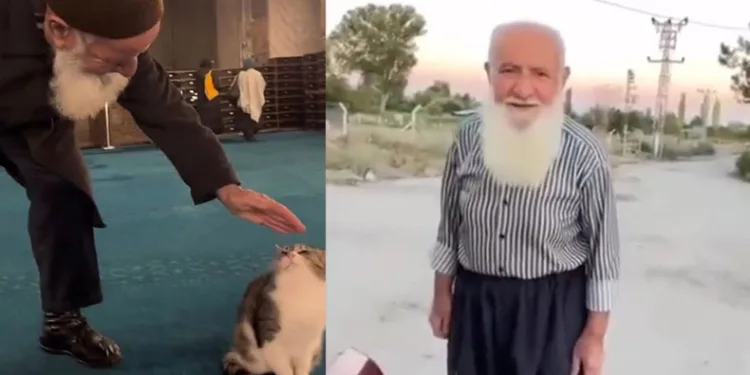 “Kediye canım kaynadı sevdim”