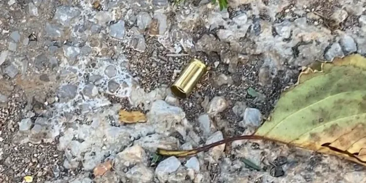 Sokak üzerinde küfürleşme kavgasında silah konuştu