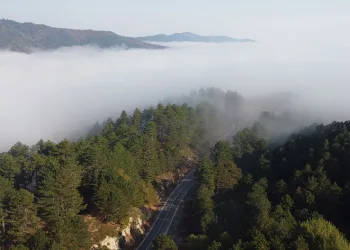 Kazdağları ormanları bulutların içinde kayboldu