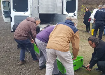 Öğretim üyesi hobi bahçesinde ölü bulundu