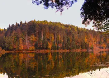 Küçükelmalı Tabiat Parkı’nda görsel şölen