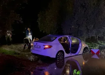 Alkollü sürücü zeytin ağacına çarptı