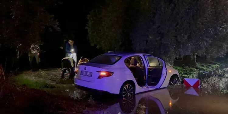 Alkollü sürücü zeytin ağacına çarptı