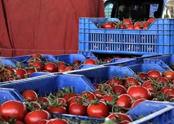 Sebzede miktar arttı, domateste azaldı