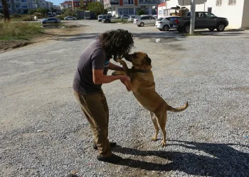 Köpeği de insanlığı da unutmadı