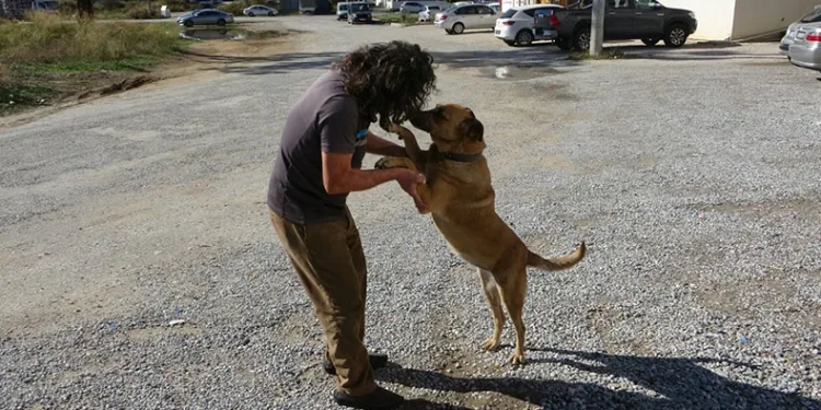 Köpeği de insanlığı da unutmadı