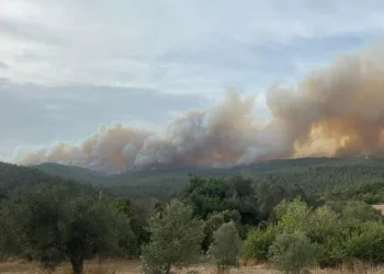 Çanakkale’deki orman yangını devam ediyor