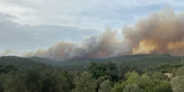 Çanakkale’deki orman yangını devam ediyor