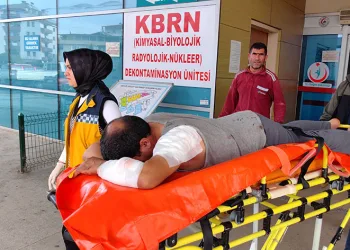 Bursa’da köpeğin saldırdığı inşaat işçisi yaralandı