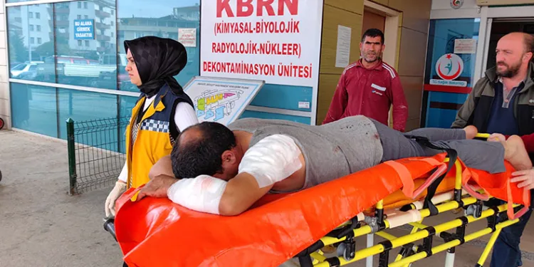 Bursa’da köpeğin saldırdığı inşaat işçisi yaralandı