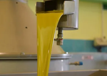 Pazarda satılan zeytinyağları tehlike saçıyor