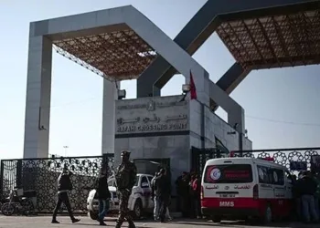 Türk ve KKTC vatandaşları Mısır’da