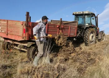 Tatvan’da kışlık yakacak mesaisi
