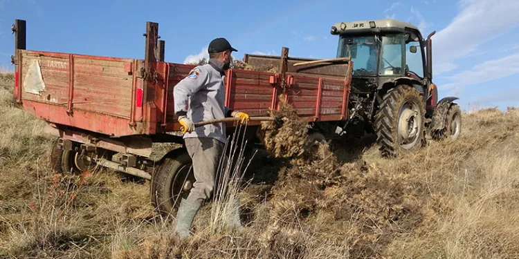 Tatvan’da kışlık yakacak mesaisi