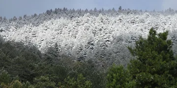 Kuzey Ege’de mevsimin ilk karı yağdı