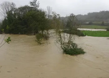 Kocaeli’de tarım arazilerini su bastı