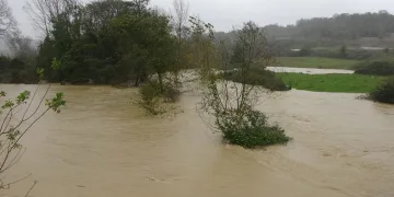 Kocaeli’de tarım arazilerini su bastı