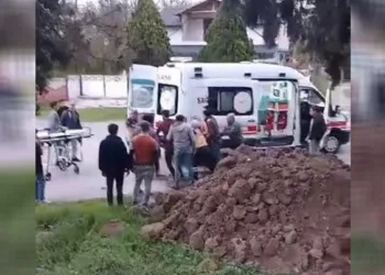 Kozalak toplamak için çıkan genç hayatını kaybetti