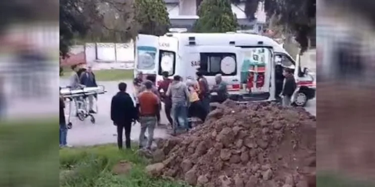 Kozalak toplamak için çıkan genç hayatını kaybetti