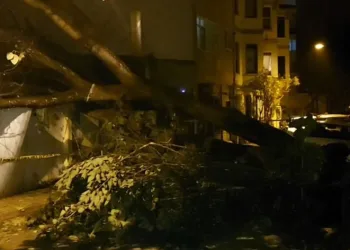 Evin bahçe duvarına ağaç devrildi